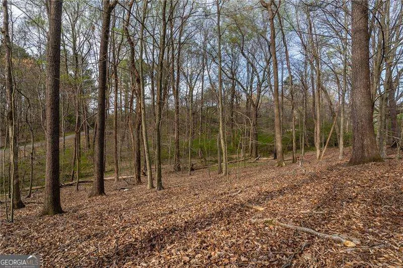 342 Jesse Martin TRL Canton, GA 30115