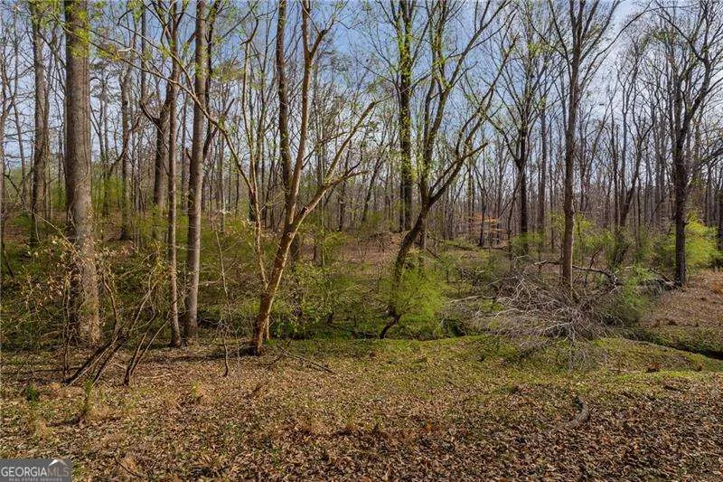 342 Jesse Martin TRL Canton, GA 30115