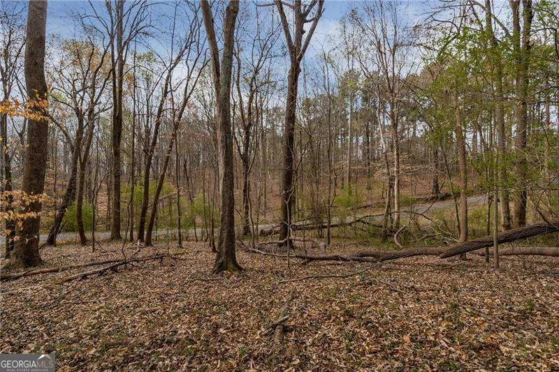 342 Jesse Martin TRL Canton, GA 30115