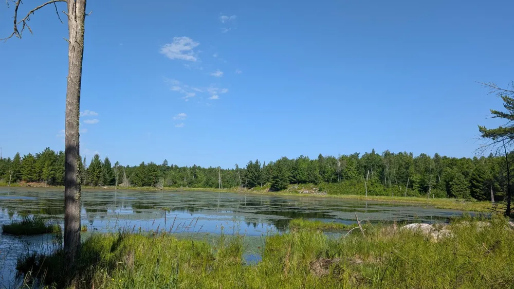 TBD Hwy. 24 Orr, MN 55771