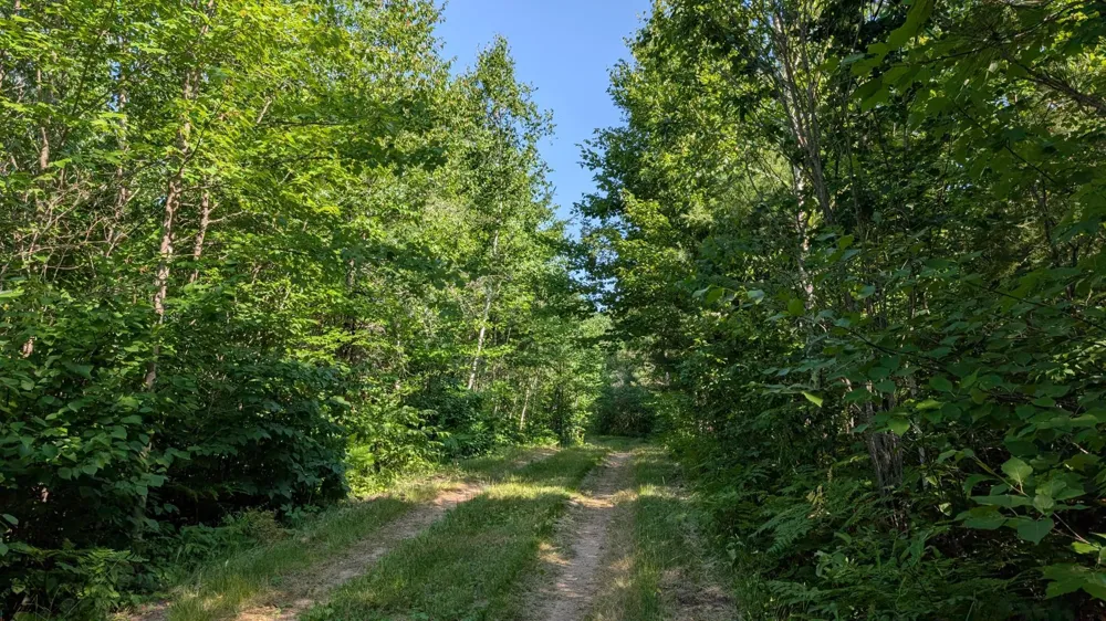 TBD Hwy. 24 Orr, MN 55771