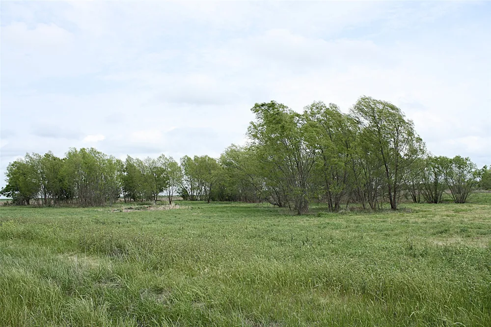 19374 Pennington Branch Road Holland, TX 76534