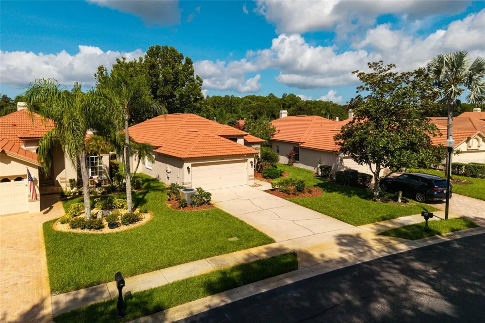 1338 DARTFORD DRIVE Tarpon Springs, FL 34688