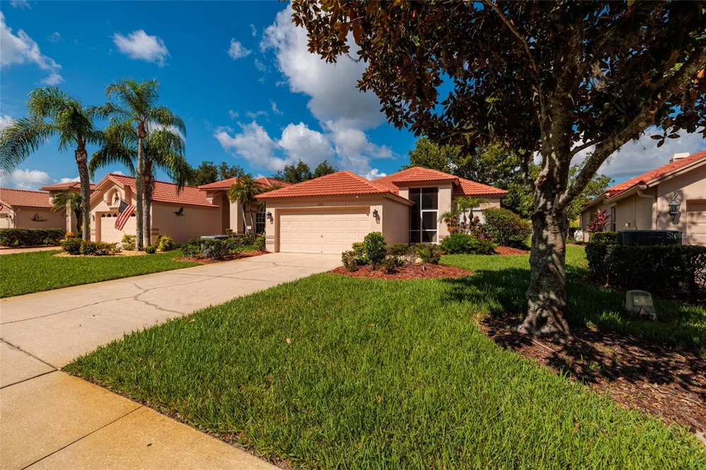 1338 DARTFORD DRIVE Tarpon Springs, FL 34688
