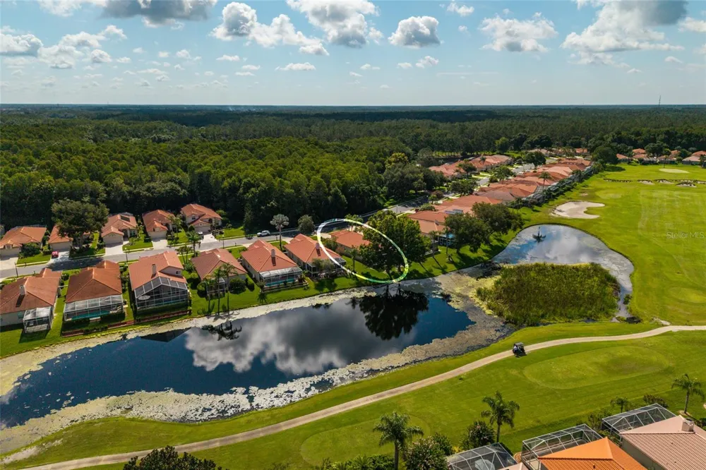 1338 DARTFORD DRIVE Tarpon Springs, FL 34688
