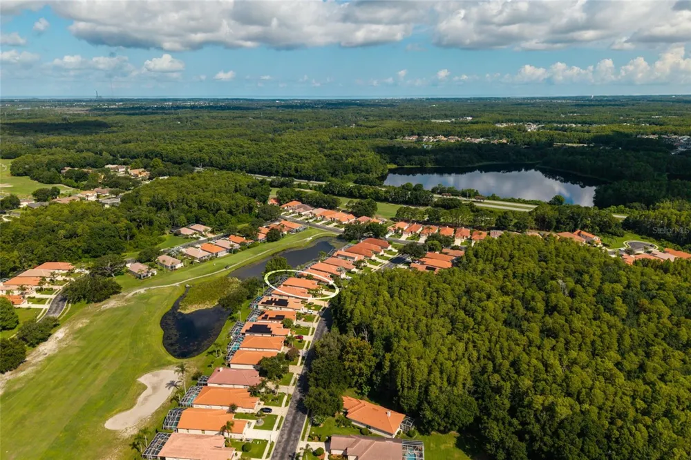 1338 DARTFORD DRIVE Tarpon Springs, FL 34688