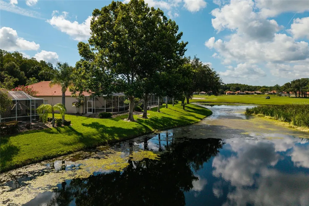 1338 DARTFORD DRIVE Tarpon Springs, FL 34688