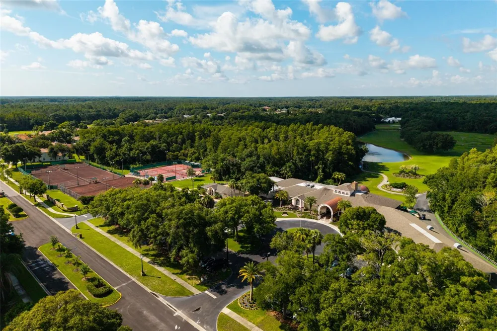 1338 DARTFORD DRIVE Tarpon Springs, FL 34688