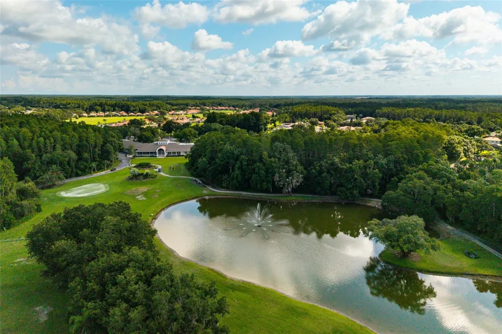 1338 DARTFORD DRIVE Tarpon Springs, FL 34688