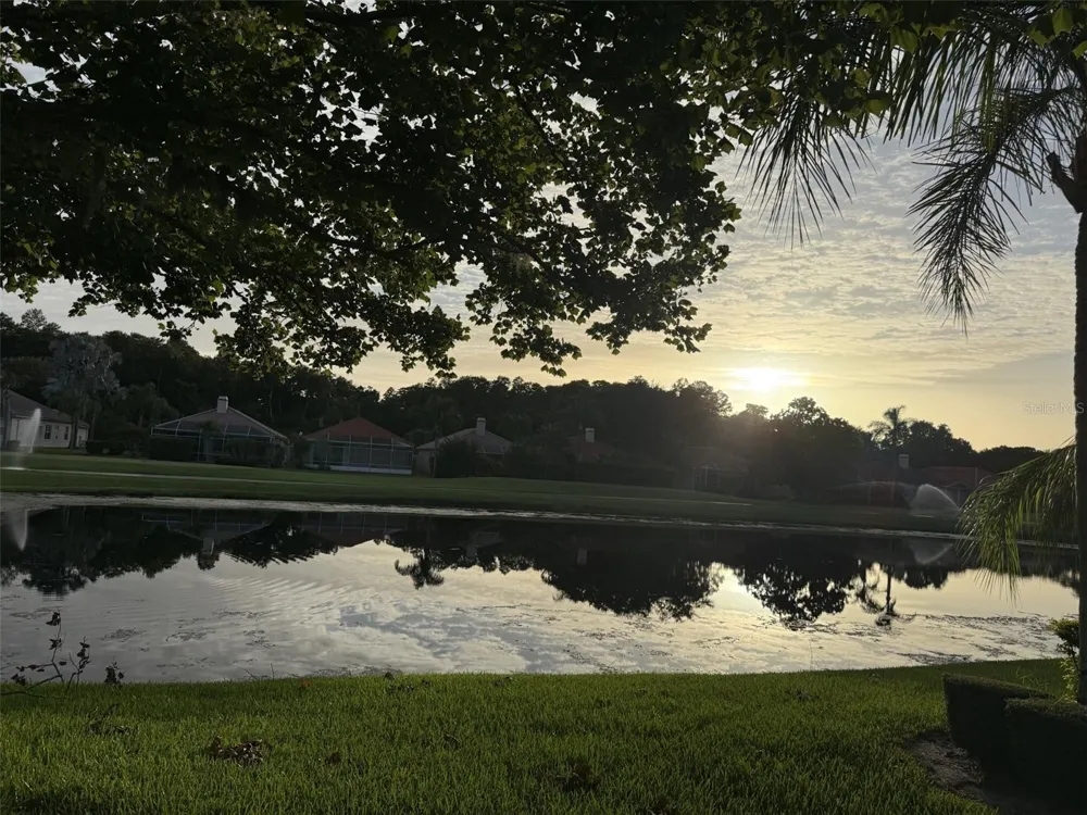 1338 DARTFORD DRIVE Tarpon Springs, FL 34688