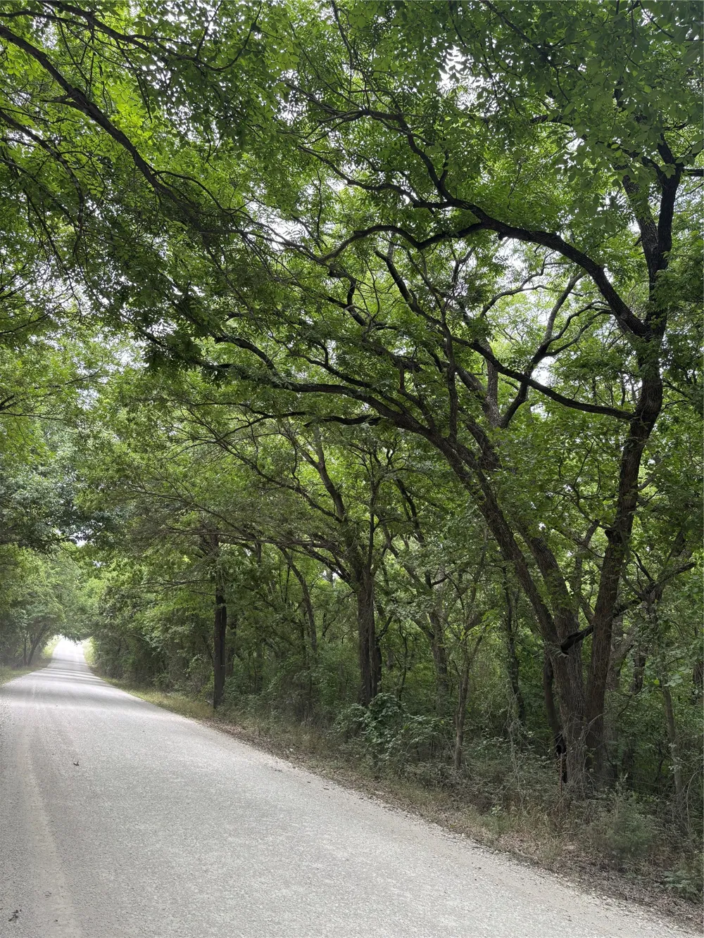 23 County Road 440 Muenster, TX 76252