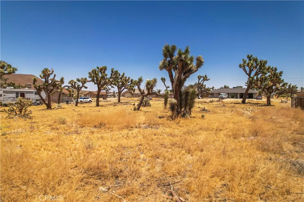 6560 Prescott Avenue Yucca Valley, CA 92284