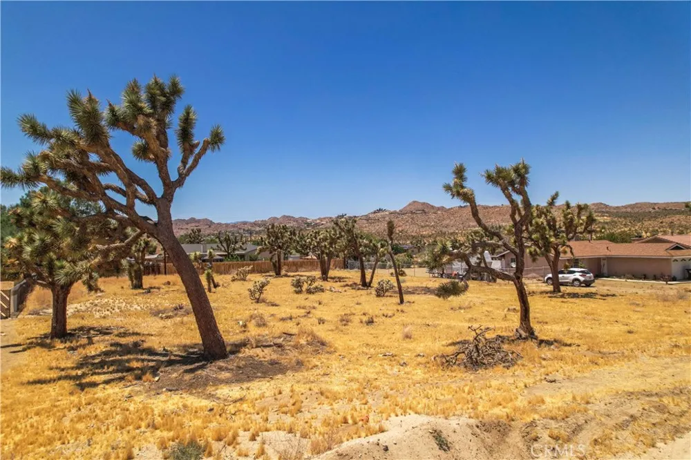 6560 Prescott Avenue Yucca Valley, CA 92284