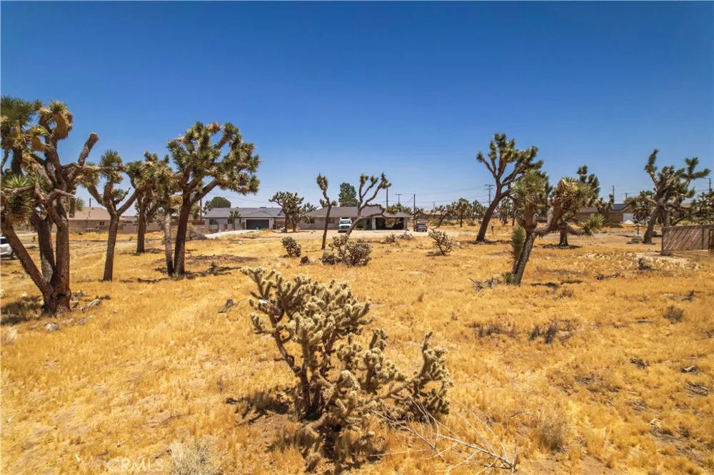 6560 Prescott Avenue Yucca Valley, CA 92284
