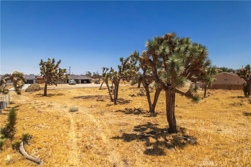 6560 Prescott Avenue Yucca Valley, CA 92284