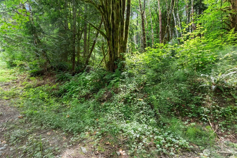 0 xxxx State Rte 530 (3207140020020) NE Arlington, WA 98223