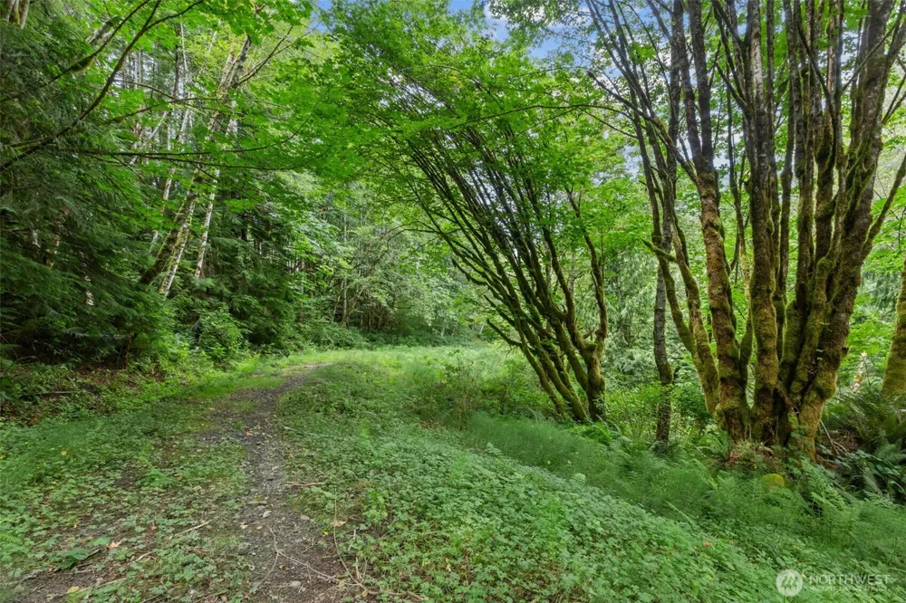 0 xxxx State Rte 530 (3207140020020) NE Arlington, WA 98223