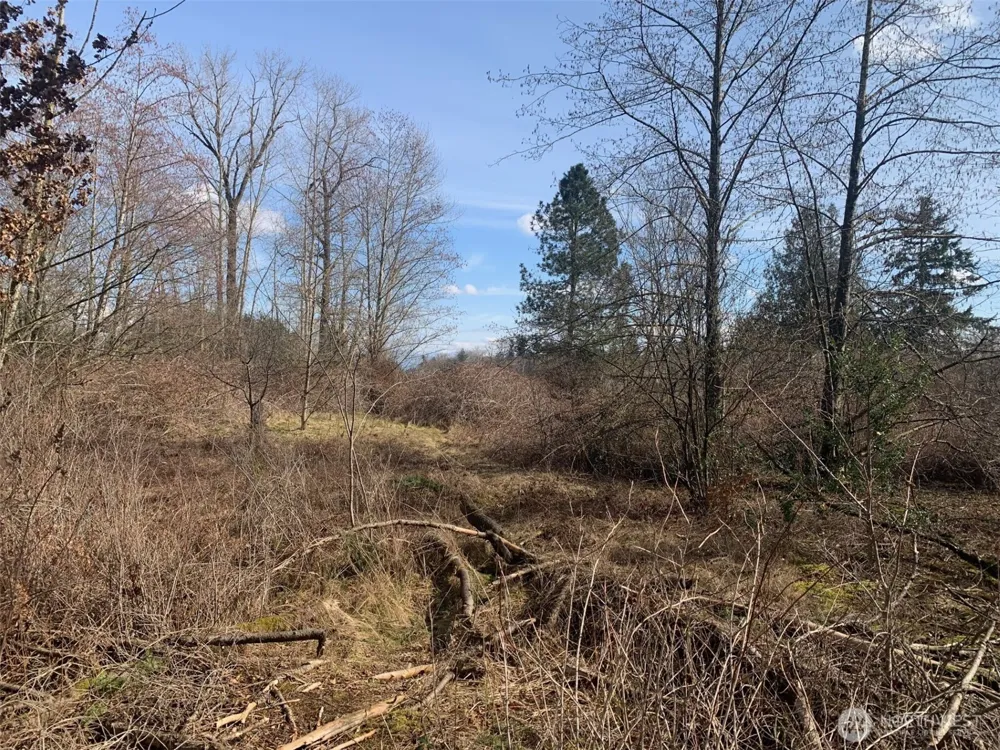 9924 Markworth Road Lynden, WA 98264