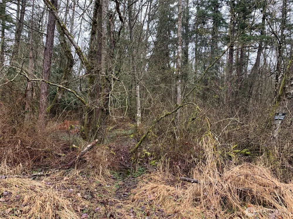 9924 Markworth Road Lynden, WA 98264