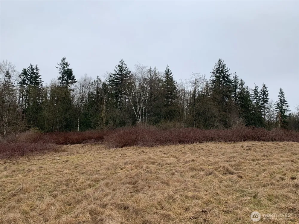 9924 Markworth Road Lynden, WA 98264