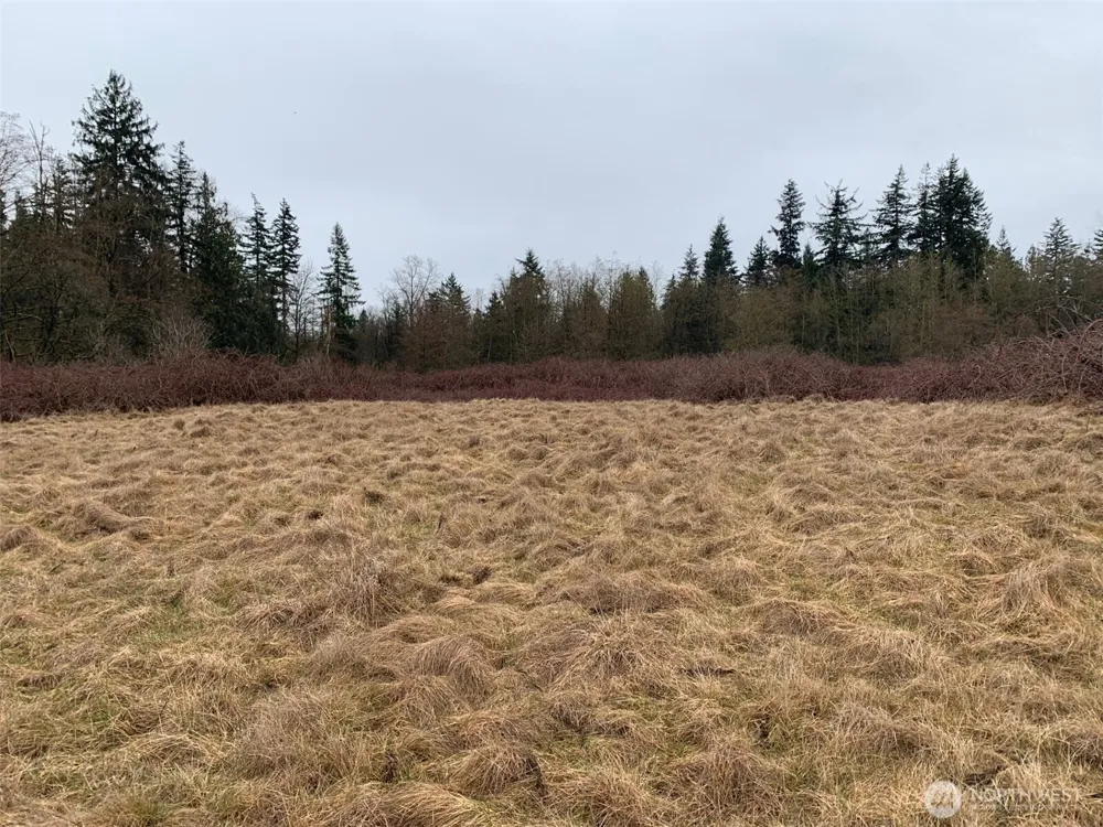 9924 Markworth Road Lynden, WA 98264