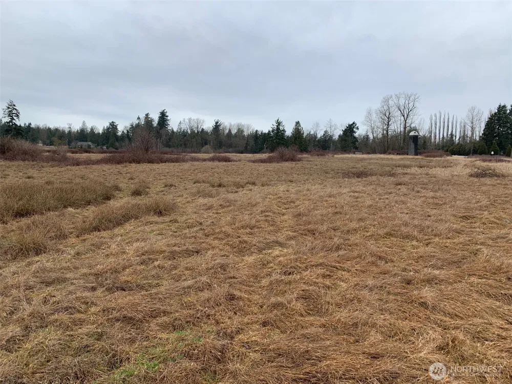9924 Markworth Road Lynden, WA 98264