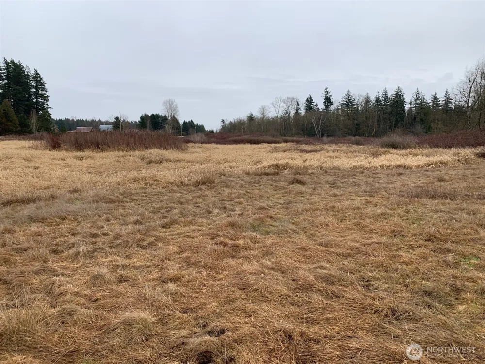 9924 Markworth Road Lynden, WA 98264
