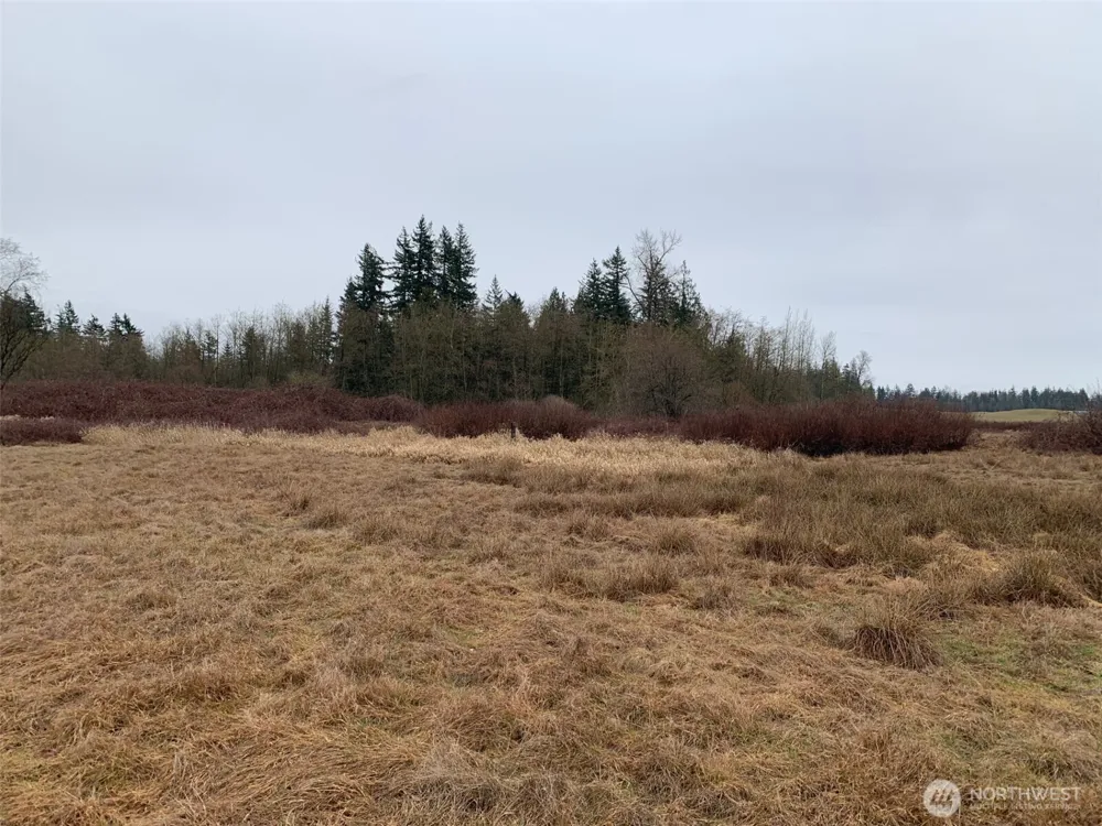 9924 Markworth Road Lynden, WA 98264