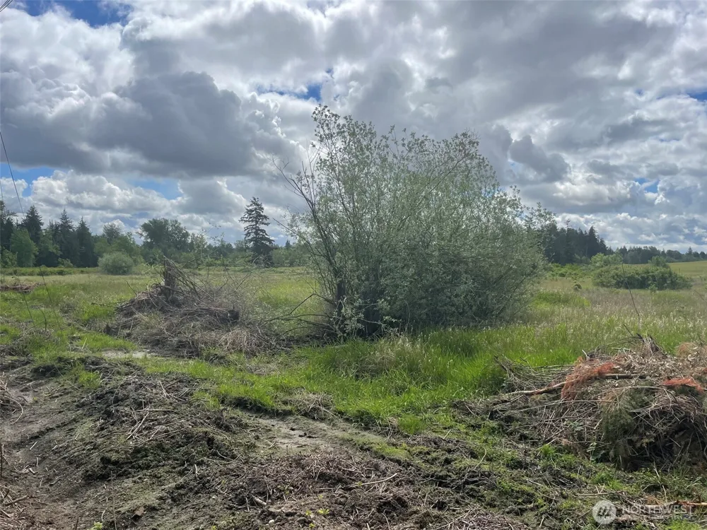 9924 Markworth Road Lynden, WA 98264
