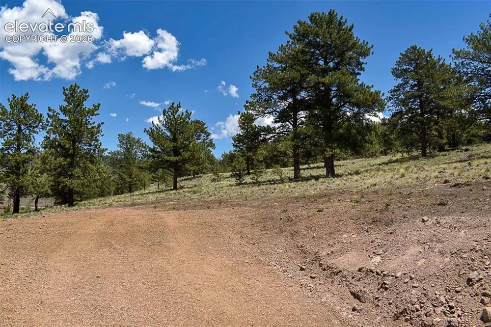 4278 County Road 71 Guffey, CO 80820