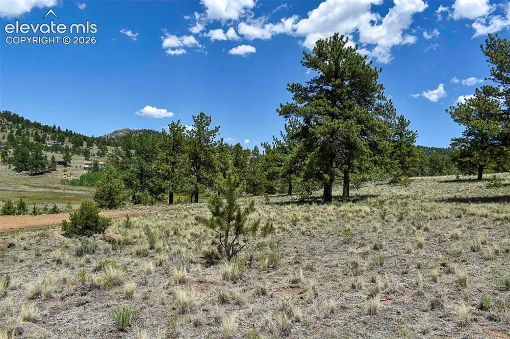 4278 County Road 71 Guffey, CO 80820