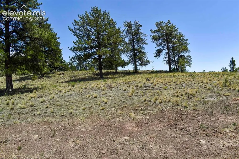 4278 County Road 71 Guffey, CO 80820