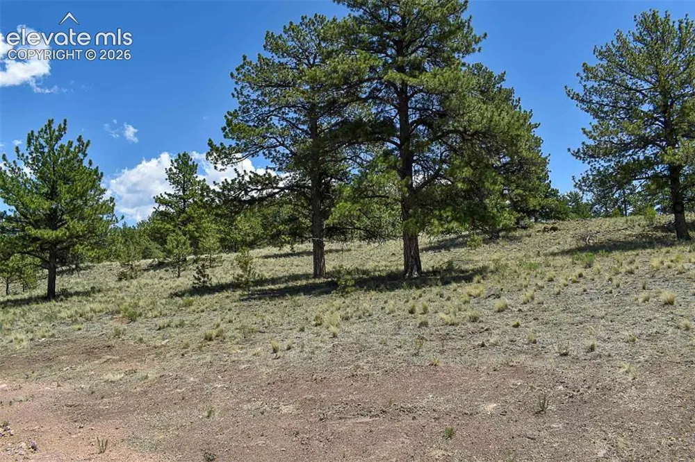4278 County Road 71 Guffey, CO 80820