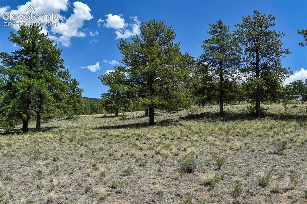 4278 County Road 71 Guffey, CO 80820