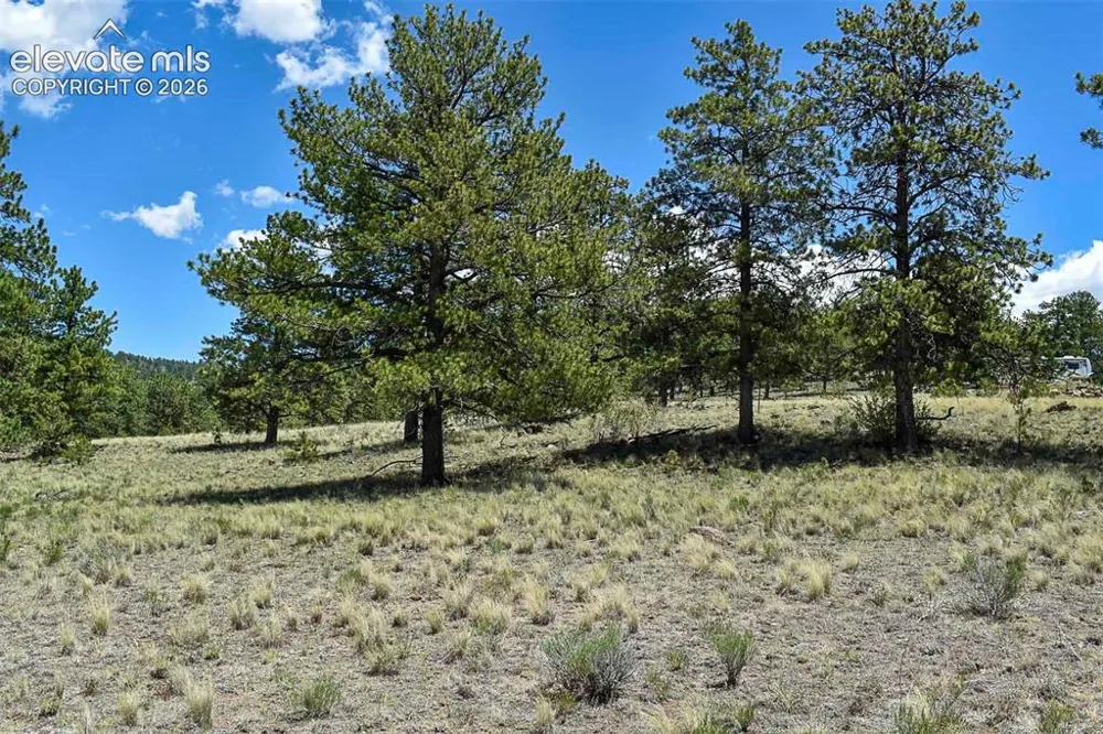 4278 County Road 71 Guffey, CO 80820
