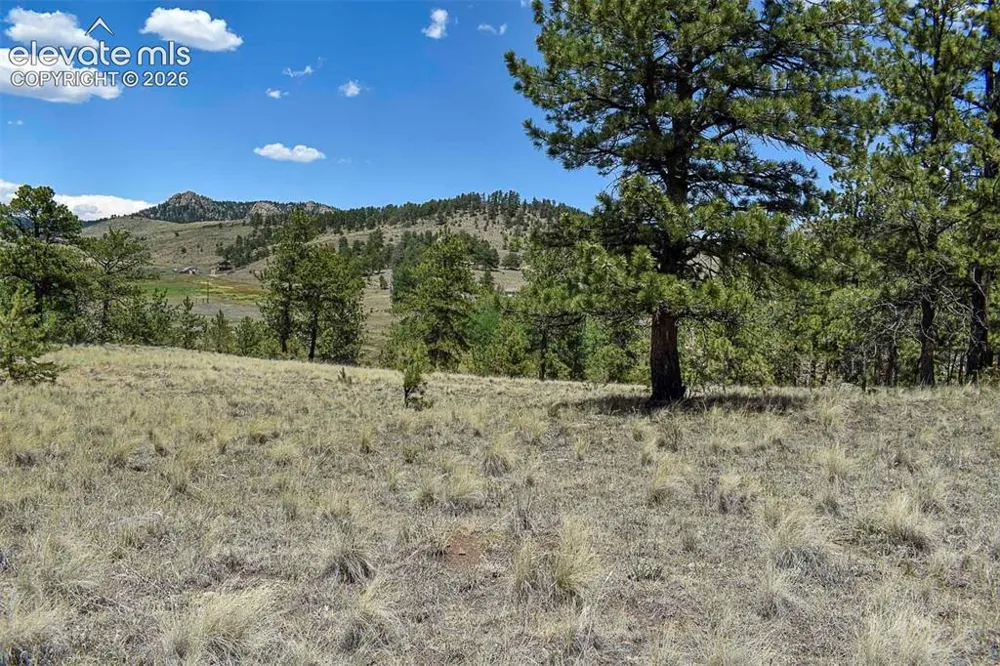 4278 County Road 71 Guffey, CO 80820