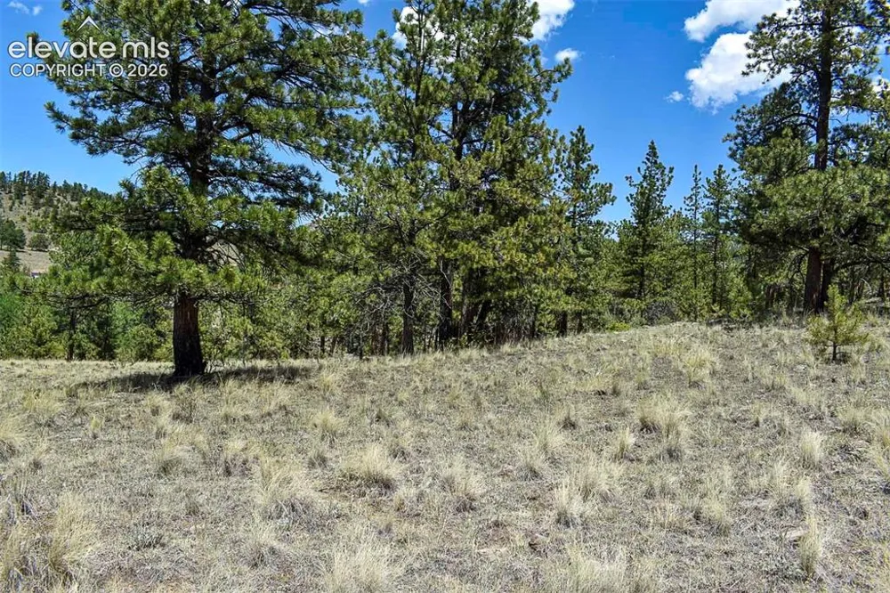 4278 County Road 71 Guffey, CO 80820