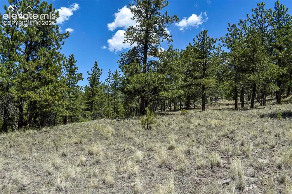 4278 County Road 71 Guffey, CO 80820