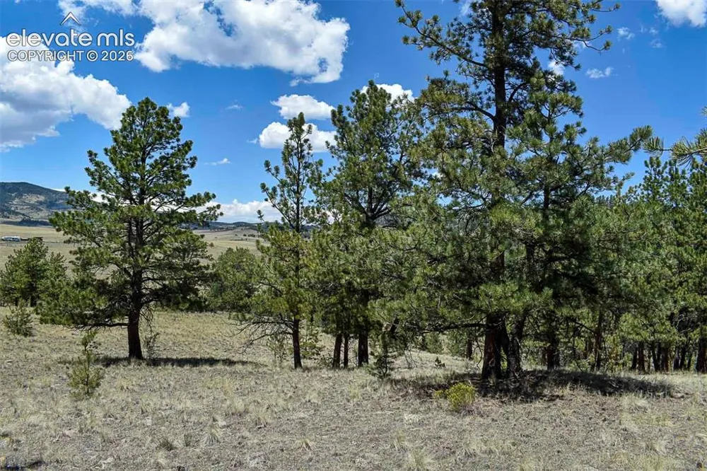 4278 County Road 71 Guffey, CO 80820