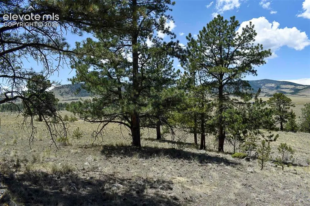 4278 County Road 71 Guffey, CO 80820