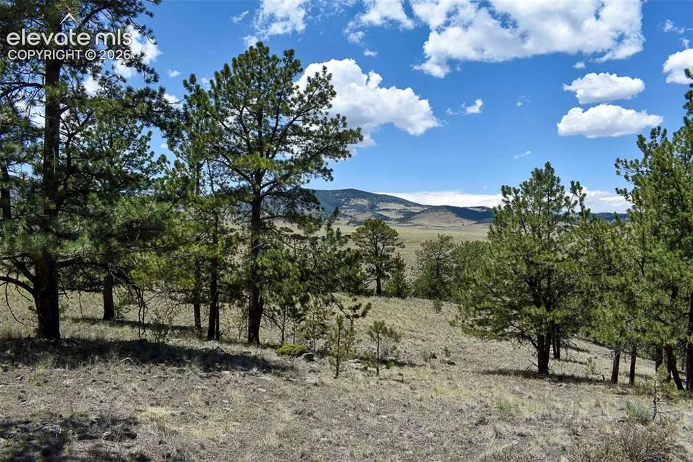 4278 County Road 71 Guffey, CO 80820