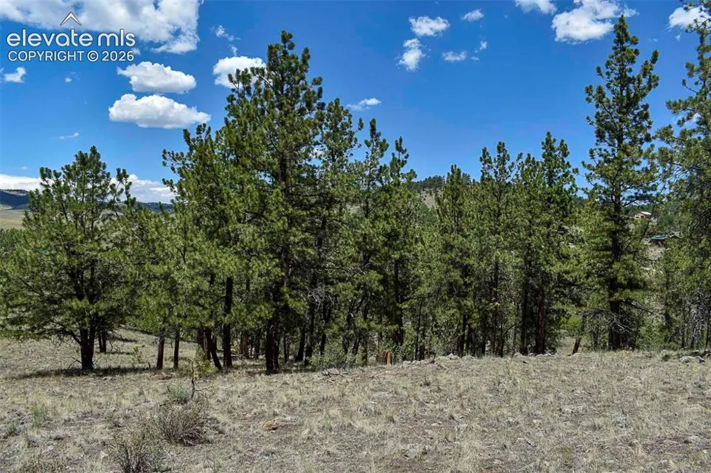 4278 County Road 71 Guffey, CO 80820