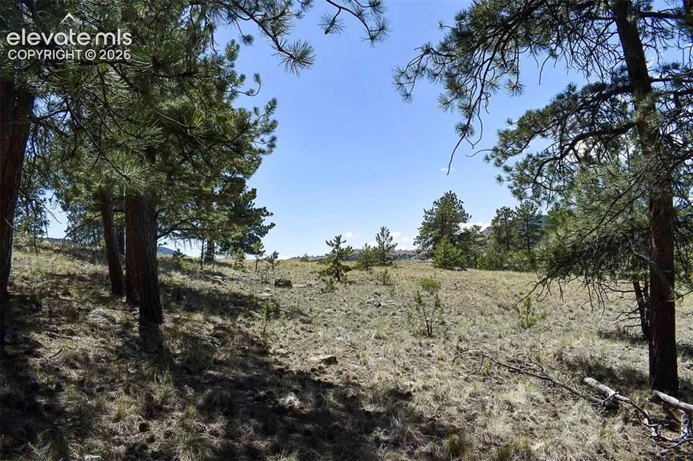 4278 County Road 71 Guffey, CO 80820