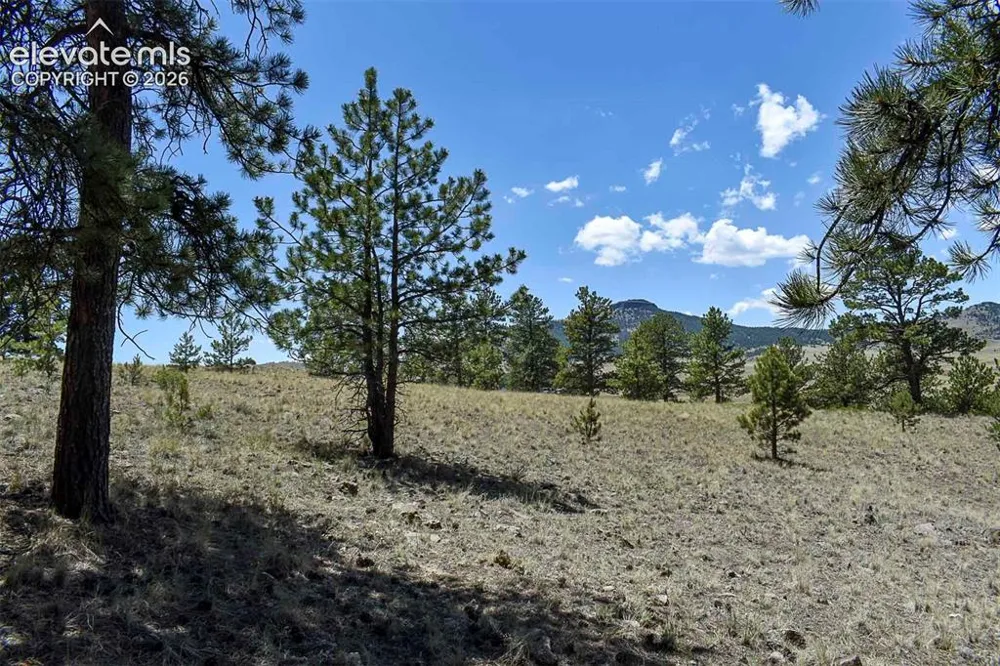 4278 County Road 71 Guffey, CO 80820