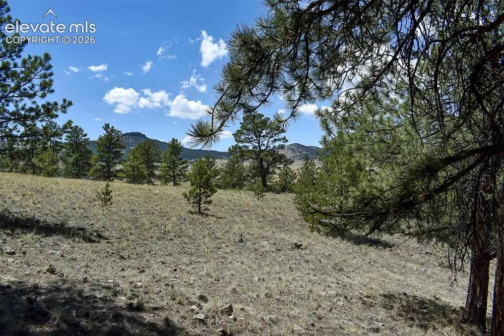 4278 County Road 71 Guffey, CO 80820