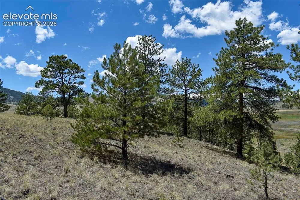 4278 County Road 71 Guffey, CO 80820