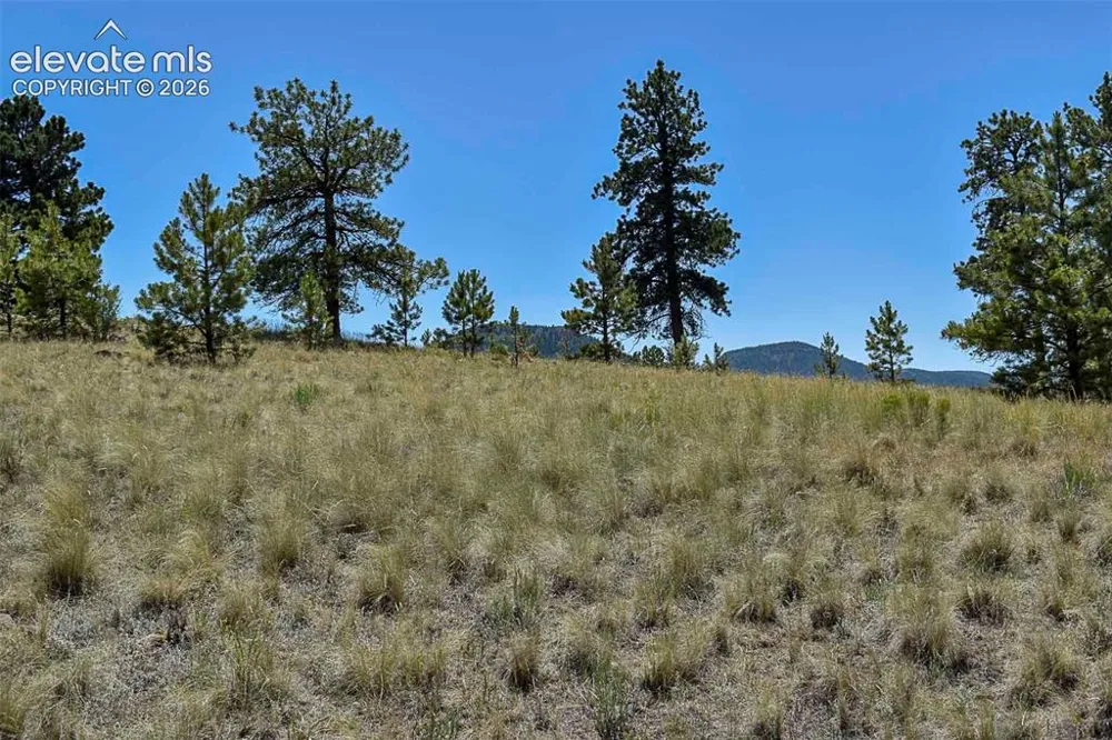 4278 County Road 71 Guffey, CO 80820