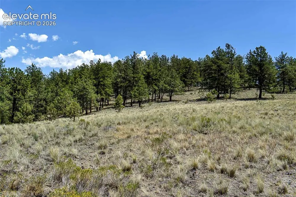 4278 County Road 71 Guffey, CO 80820