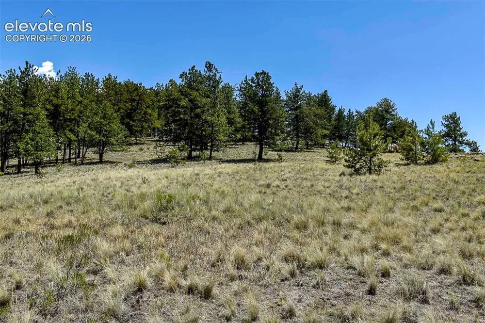 4278 County Road 71 Guffey, CO 80820