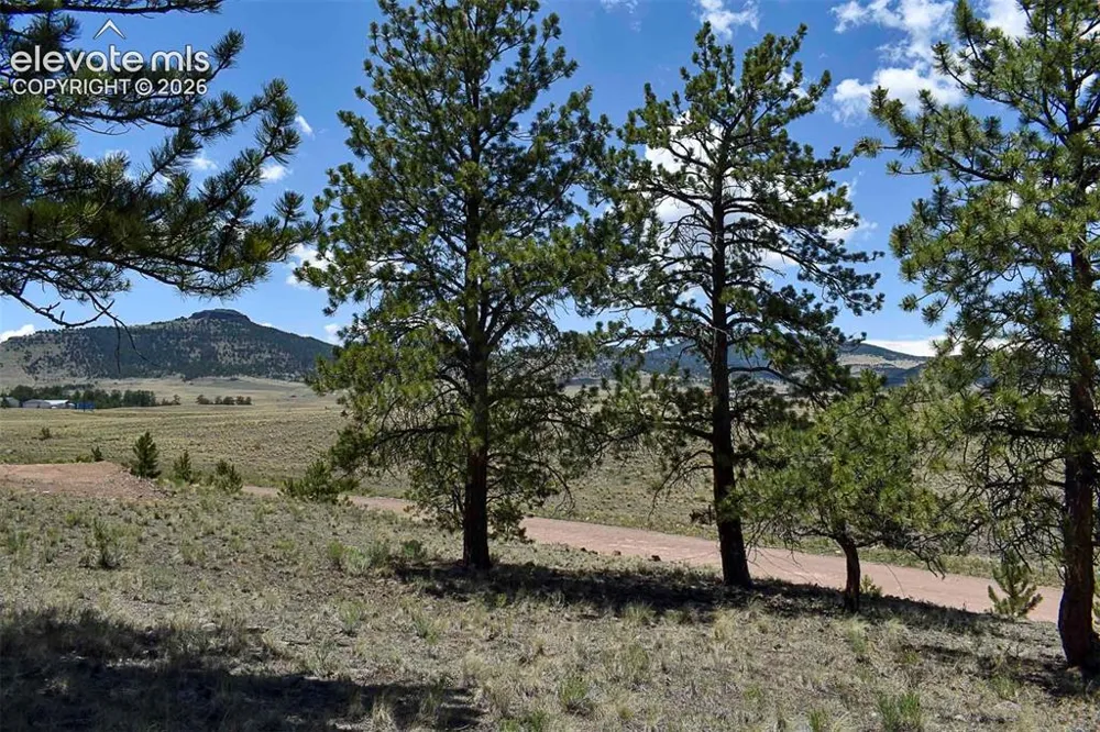 4278 County Road 71 Guffey, CO 80820